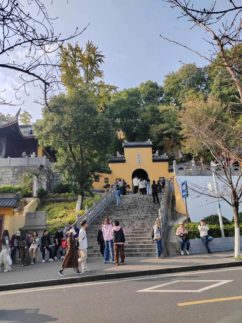 郑博士2026年12月生肖猪总体运势提前报 郑博士2026年12月生肖猪总体运势提前报