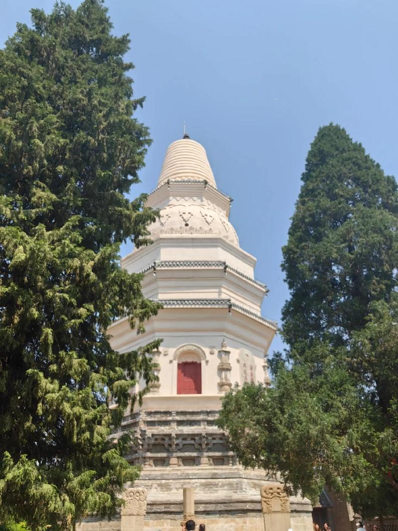 生辰八字算童子如何查自己是否童子命 生辰八字算童子如何查自己是否童子命